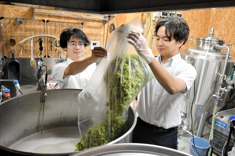 飯舘村産ホップでビールを仕込む志賀さん（左）ら