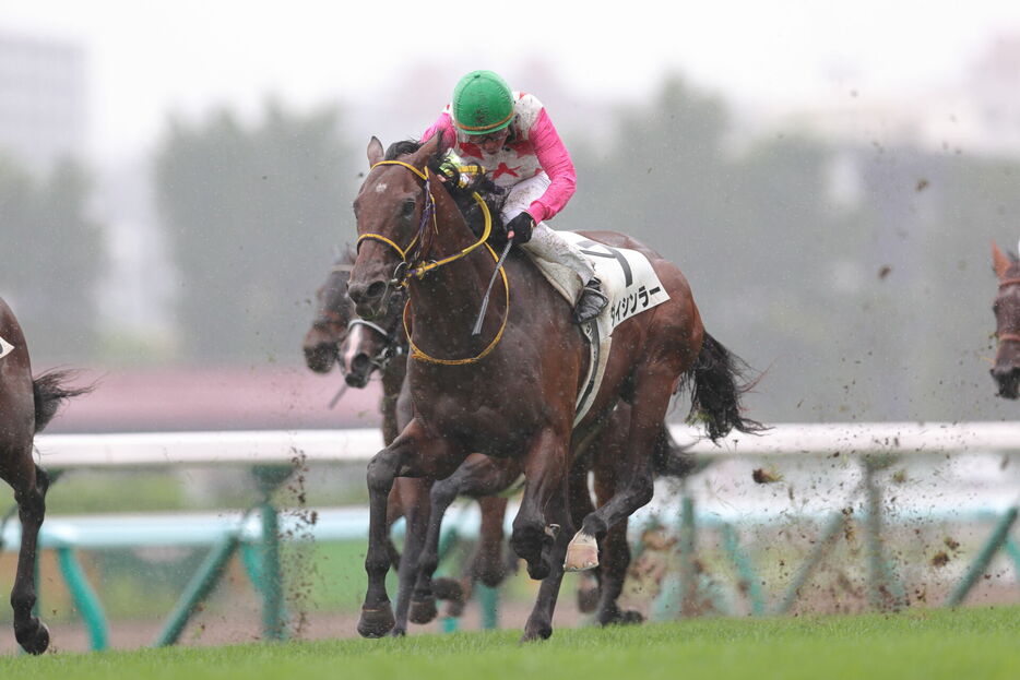 南アフリカ賞・ダイシンラーと岩田康誠騎手