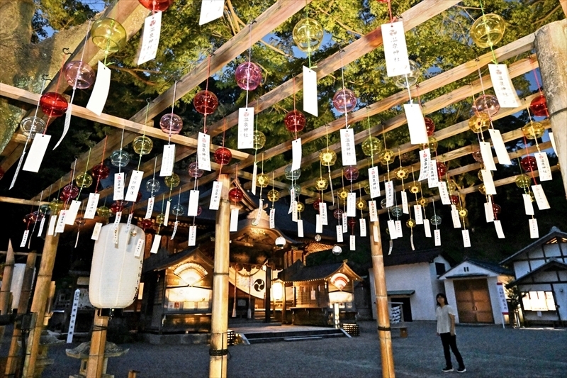 風鈴がライトアップされ、幻想的な雰囲気の温泉神社境内