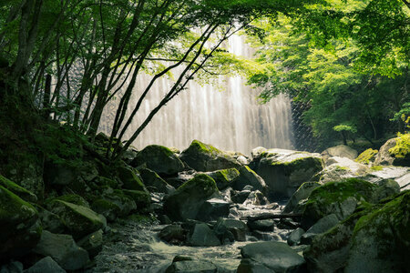 畦ヶ丸山。