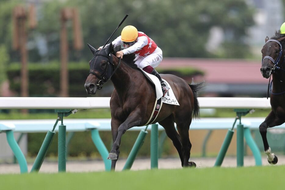 札幌5R・アルマヴェローチェと横山武史騎手