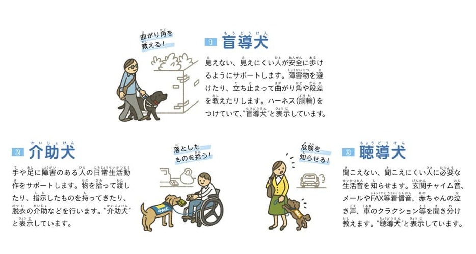 補助犬の種類とその役割