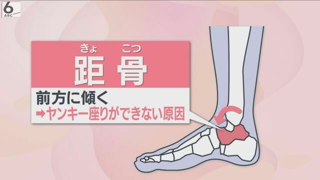 「距骨」が前に傾くとヤンキー座りができない原因に