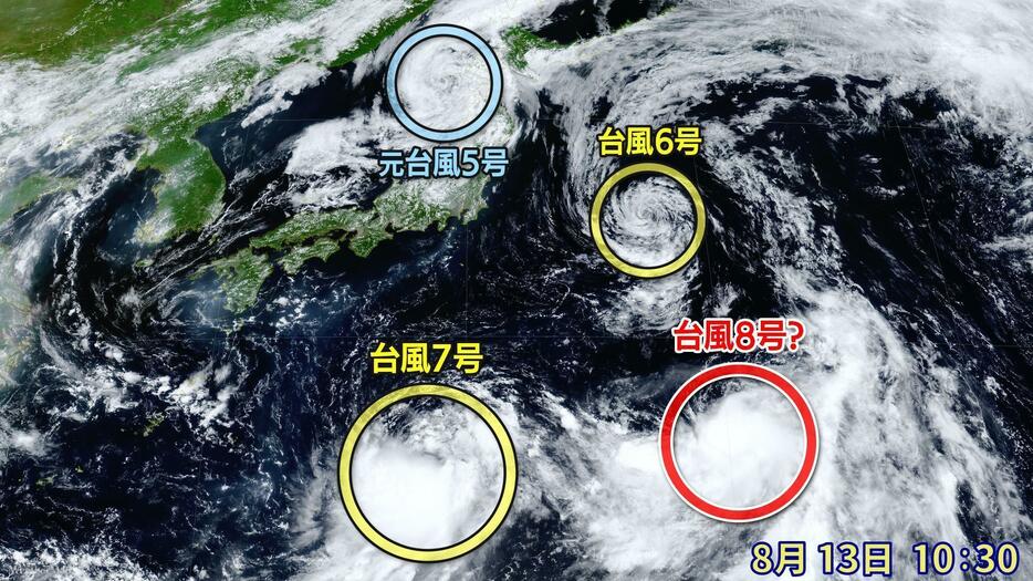 台風8号のたまご