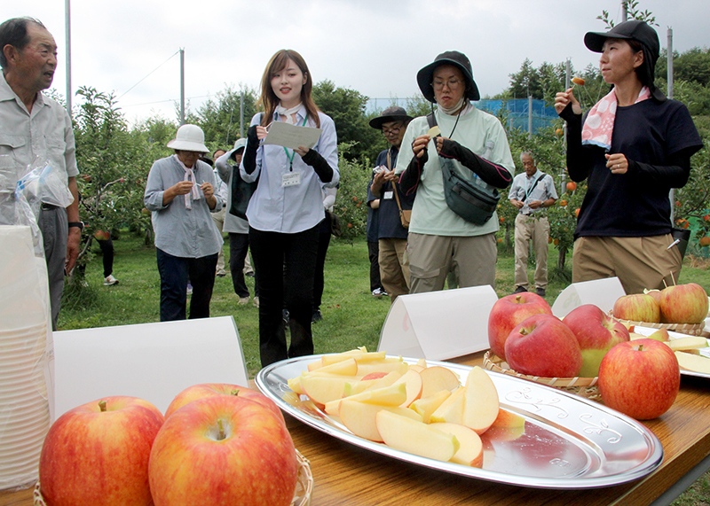 試食会で「江刺ロマン」「紅みのり」と「つがる」とを食べ比べる参加者