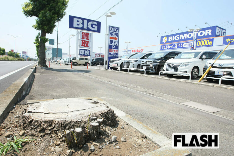 旧ビッグモーター（現WECARS）坂戸店前の現在の様子（写真・久保貴弘）