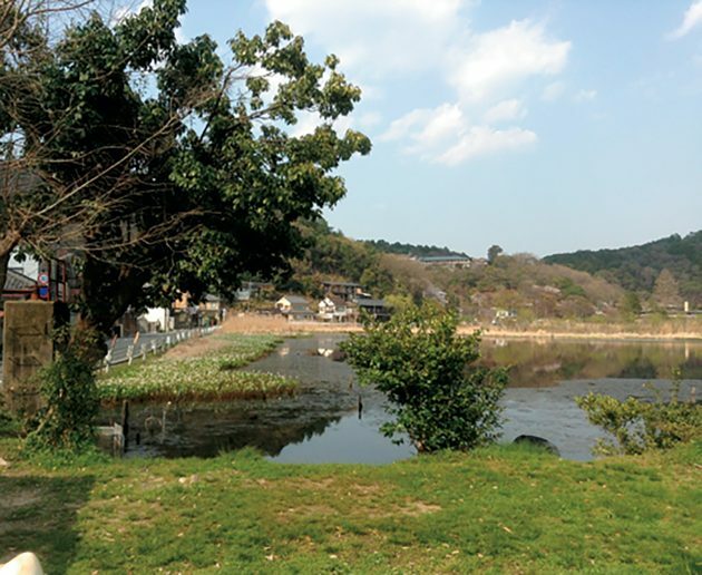 深泥池は京都盆地ができる前、数万年前という太古の地殻変動によりできた。この池は氷河期より地形や生態系が続いているという。