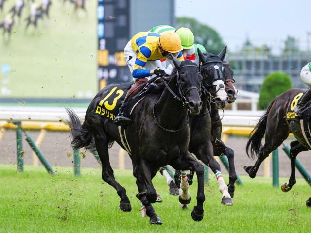 関屋記念に出走予定のロジリオン(ユーザー提供：藤田ことねさん)