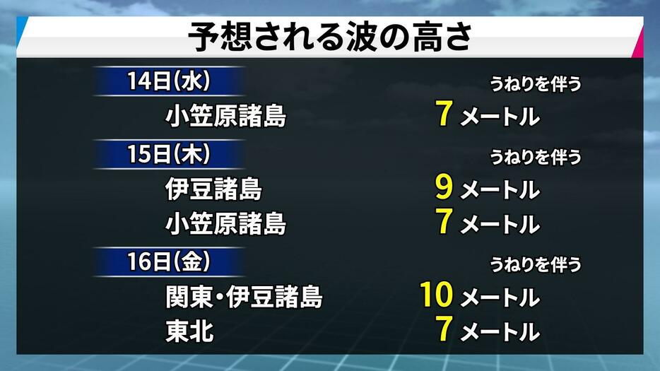 予想される波の高さ