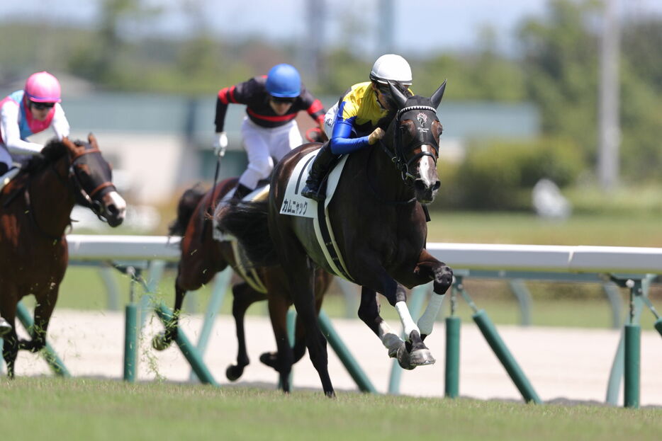 中京5R・カムニャックと川田将雅騎手