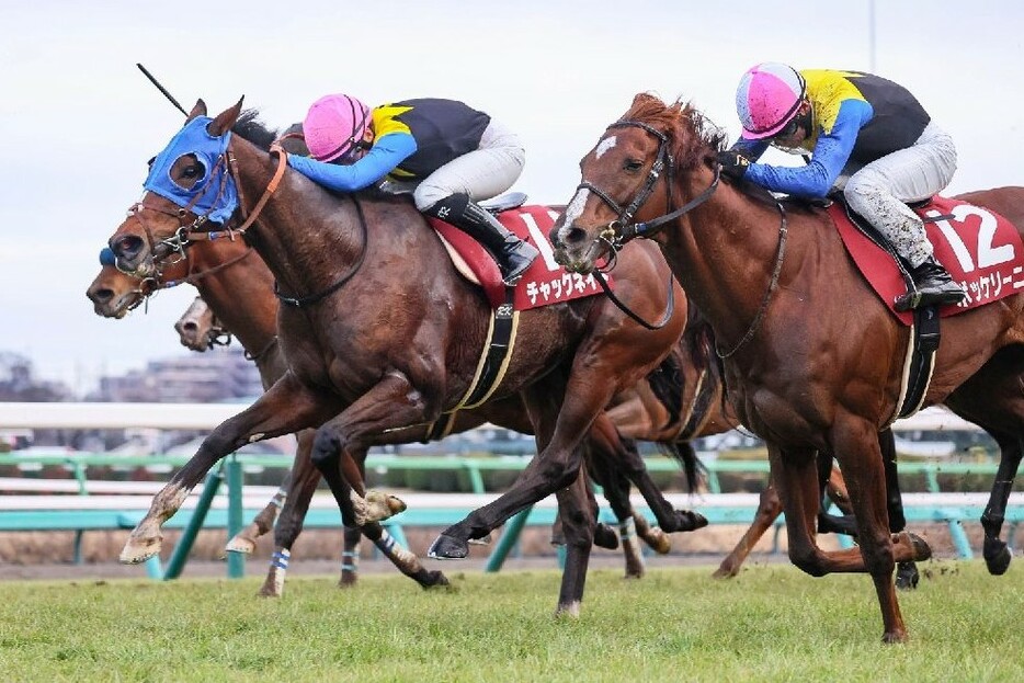 スタミナを活かすような思い切った競馬を期待したいチャックネイト