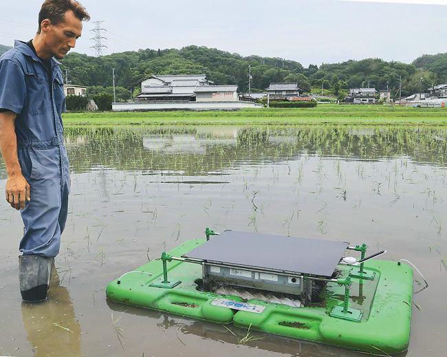 アイガモロボの稼働状況を確認する野上園長（岡山県和気町で）