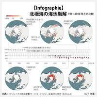 【Infographie】北極海の海氷融解