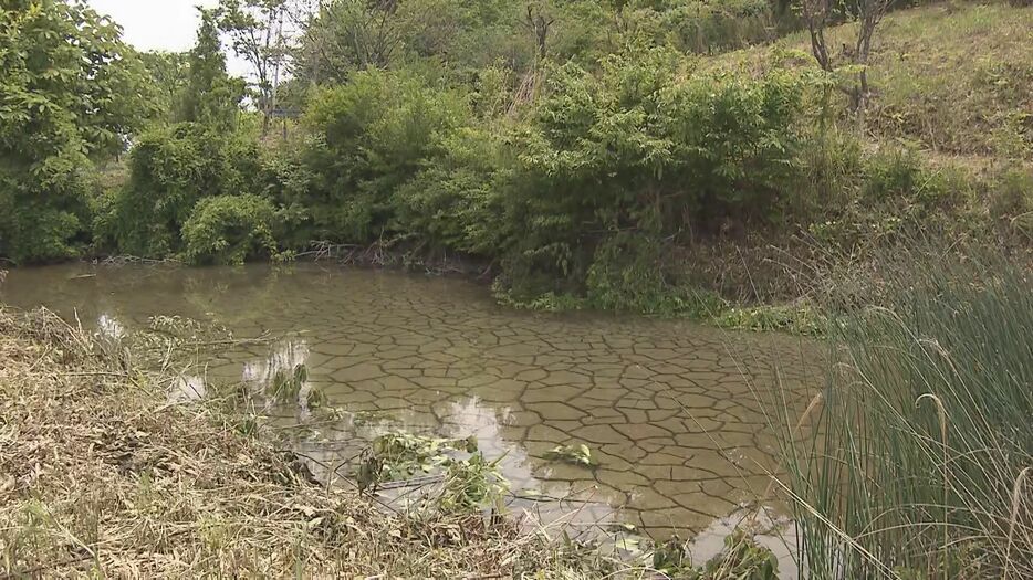 水位が低下したため池 岐阜県瑞浪市