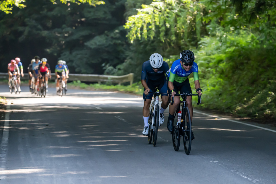 写真：Bicycle Club