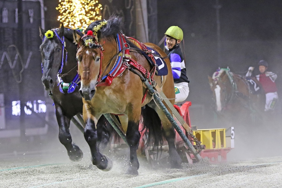 はまなす賞・タカラキングダムと金田利貴騎手 (C)ばんえい十勝