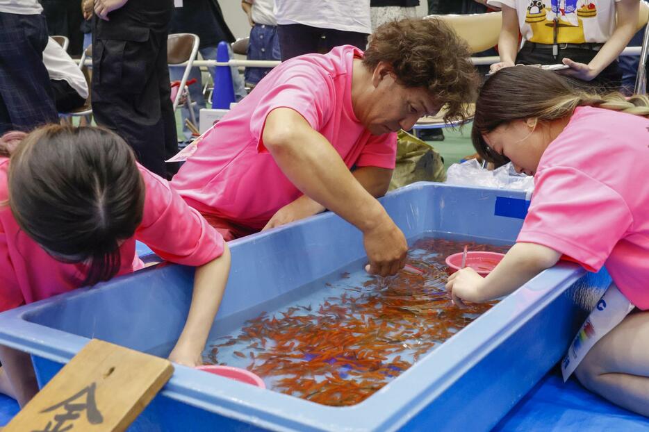 奈良県大和郡山市で開催された、全国金魚すくい選手権大会＝18日