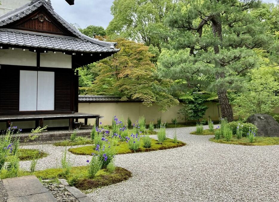 紫式部の曽祖父・兼輔の邸宅址とされる廬山寺。兼輔の屋敷には紀貫之ら、一流歌人が集ったという