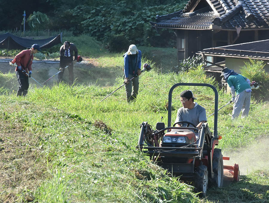 持参した農具で草刈りに励む隊員