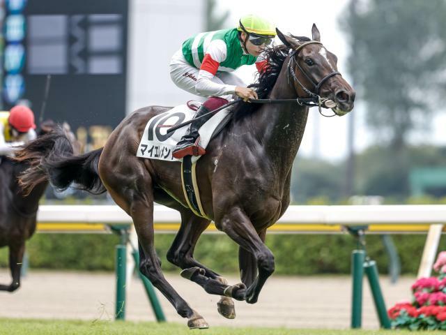 横山武史騎手騎乗のマイエレメントが勝利(撮影：下野雄規)