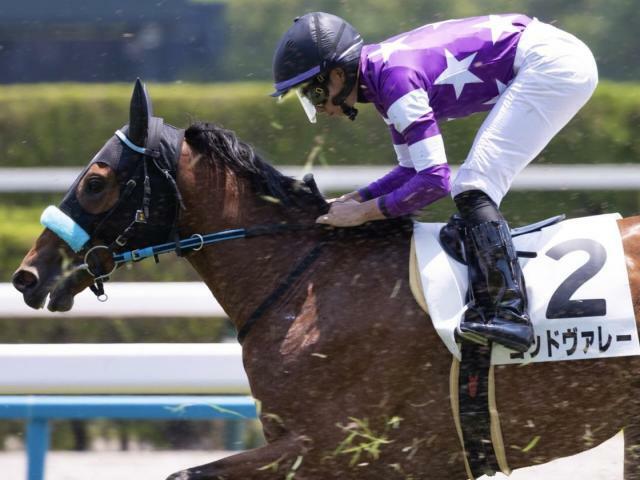 初勝利を目指すゴッドヴァレー(今年6月撮影、ユーザー提供：ぴゃーたんさん)