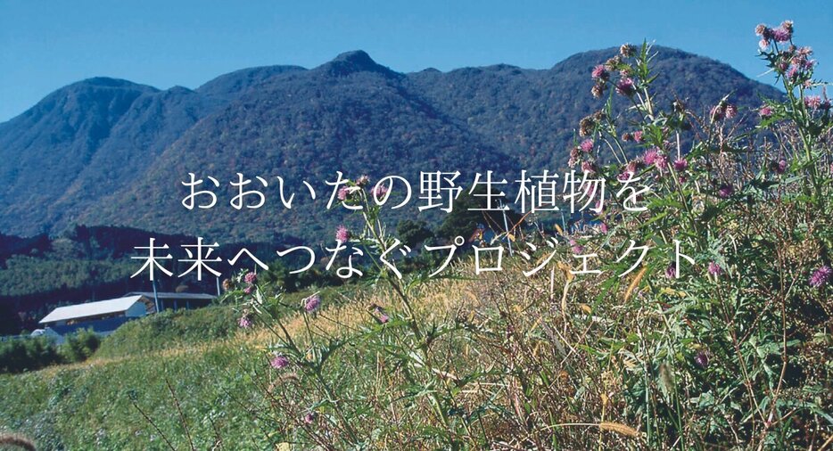 大分の野生植物を未来に残したい　写真展開催と貴重な学術資料のデジタル・アーカイブ化に向けクラウドファンディングに挑戦