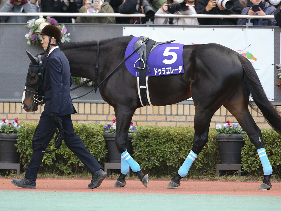 札幌記念での大駆けが見込まれているドゥラエレーデ　photo by Eiichi Yamane/AFLO