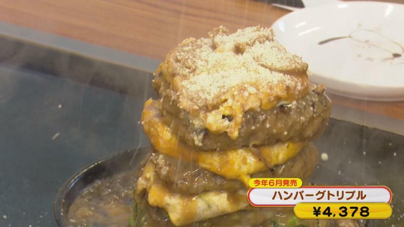 CBCテレビ『花咲かタイムズ』うなずキング