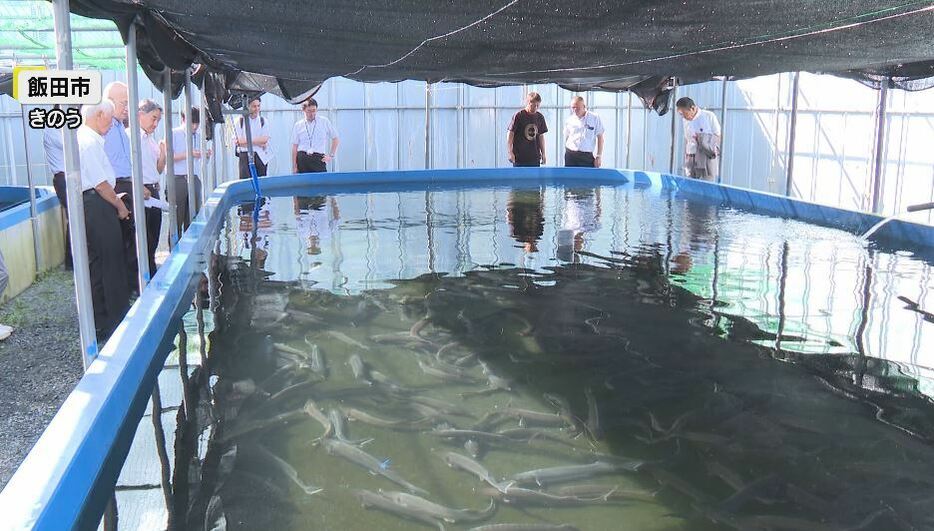 養殖場