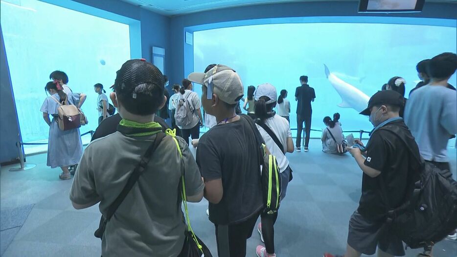 名古屋港水族館を楽しむ石川県穴水町の子供たち