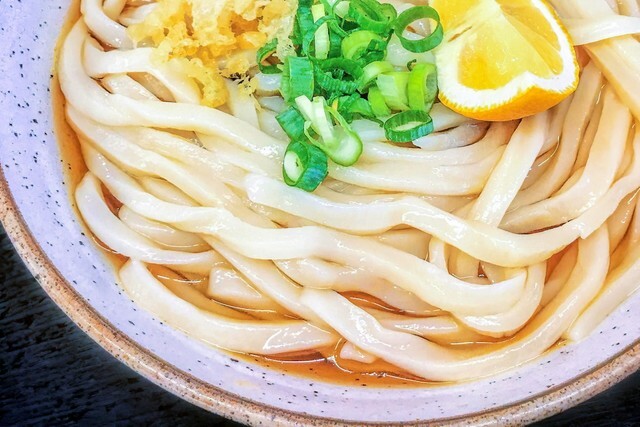 ぶっかけうどん（photoAC）