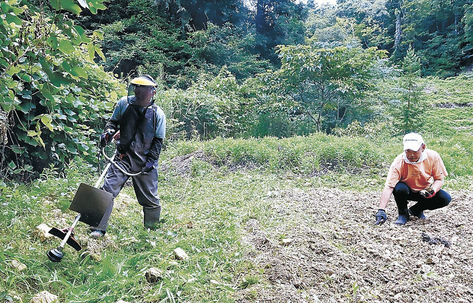 仮設住宅入居者向けの農園を準備する住民有志＝七尾市能登島向田町