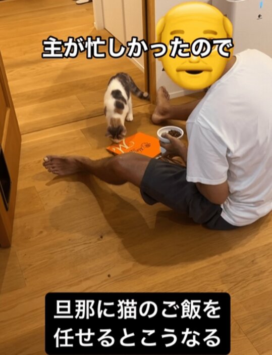 猫の餌やりを任せると…（@s.kotaro0530さんより提供）