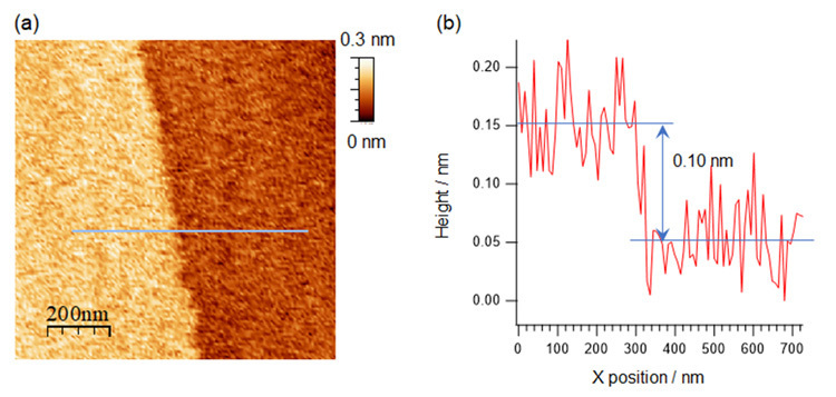 不凍液のオクタノールに浸した氷のAFM画像（左）。色の濃さが高さを示す。画像中の灰色の線の部分の高さをグラフ（右）で示すと、高低差が0.1ナノメートルであることが分かる（分子研の湊丈俊主任研究員提供）