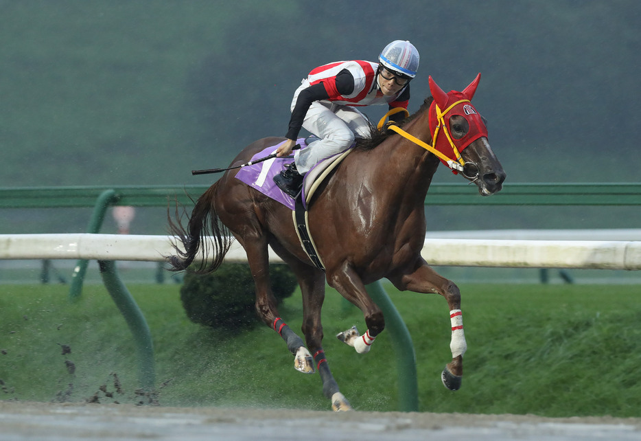 はまなす賞・マルーントリックと佐々木志音騎手 (C)岩手県競馬組合