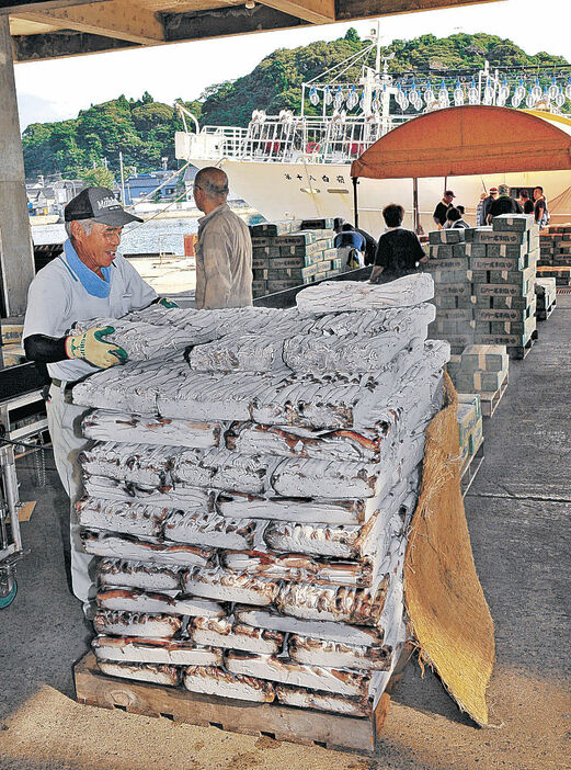 中型イカ釣り船から運び出される冷凍スルメイカ＝２日午前７時５０分、能登町小木港