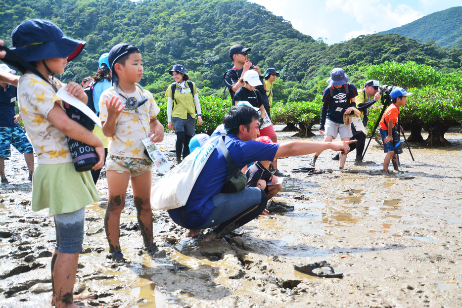 高橋さん（中央）の解説を受け、生き物を観察する参加者ら＝24日、鹿児島県奄美市住用町