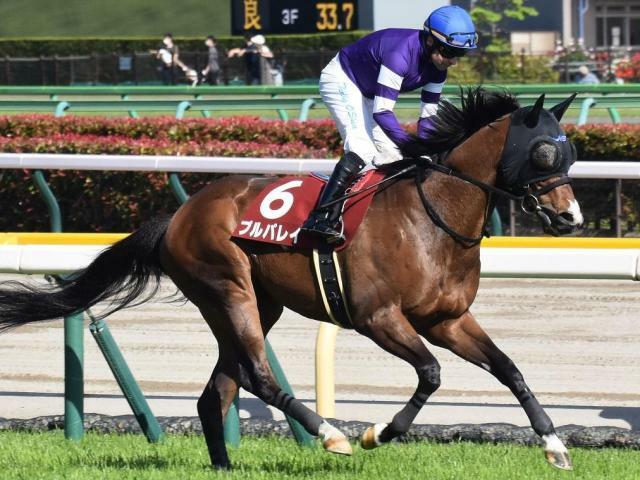 重賞2勝目を目指すプルパレイ(今年5月撮影、ユーザー提供：kouBBさん)