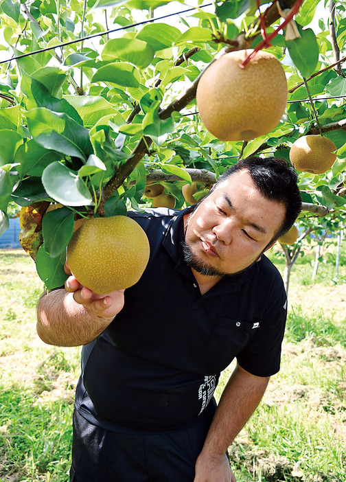 収穫を待つ「彩玉」と栽培した吉澤一徳＝蓮田市内