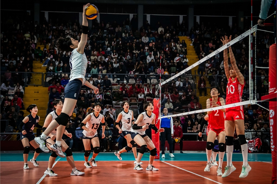 U17女子日本代表【写真：Volleyball World】