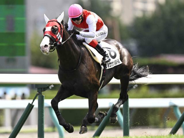 札幌5R新馬戦を制したショウナンバルドル(撮影：高橋正和)