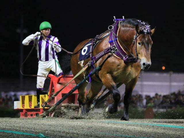 ばんえい競馬の様子(写真はイメージ、提供：ばんえい十勝)