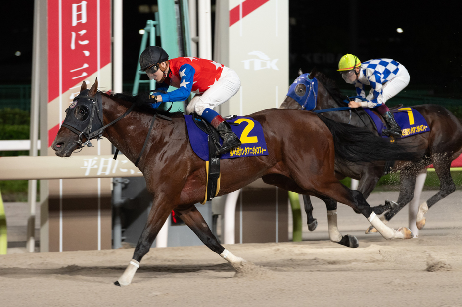 サンタアニタT・デュードヴァンと御神本訓史騎手 (C)東京シティ競馬