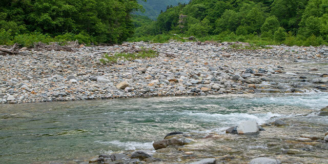 水辺では毎年同じような事故が発生している