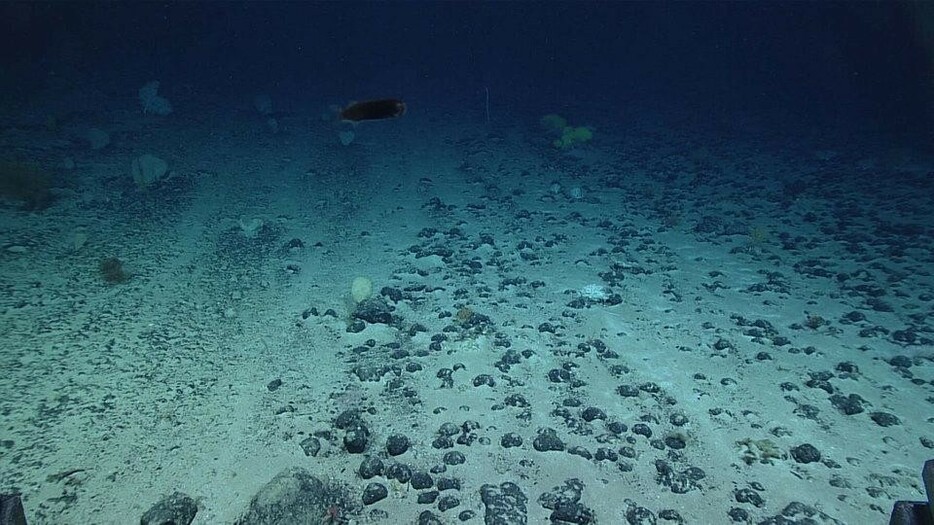 深海の鉱物が「暗黒酸素」をつくり出している