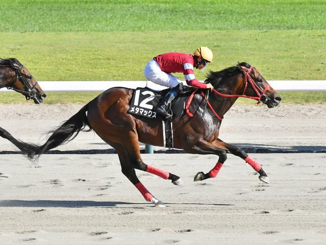 NST賞を制したメタマックス(撮影：小金井邦祥)