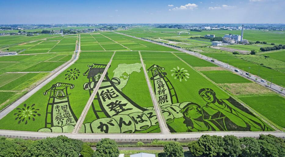 石川県能登地方の「キリコ祭り」を描いた埼玉県行田市の田んぼアート＝7月（同市提供）