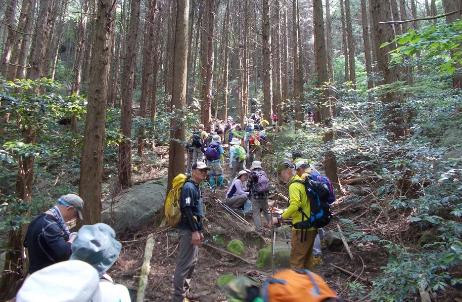 標高の低い里山への登山が健康寿命を長くする（佐賀県の金立水曜登山会提供）