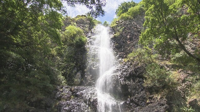 不動の滝　三豊市豊中町岡本