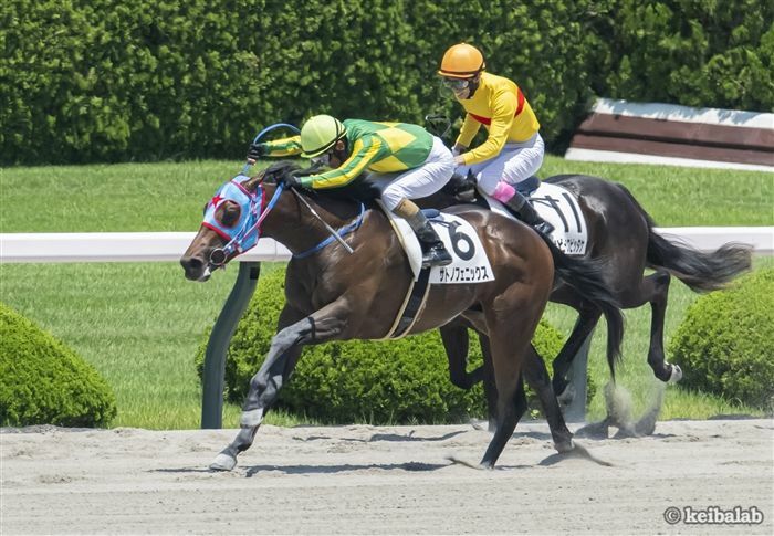 サウジダービー以来の実戦となるサトノフェニックス